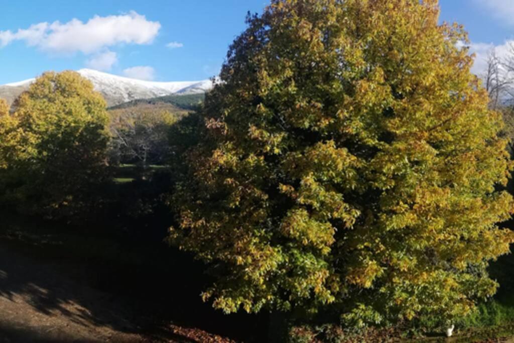 Apartament Apto. Rural Las Candelas. La Covatilla Candelario Zewnętrze zdjęcie